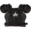 Champion Body Armor(15″)