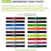 Champion Sports Baseball/Softball Uniform Belt, Comfort Stretch Fit Durable Syntex Tab – Youth & Adult Sizes, Multiple Colors(Gray)