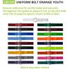 Champion Sports Baseball/Softball Uniform Belt, Comfort Stretch Fit Durable Syntex Tab – Youth & Adult Sizes, Multiple Colors(Orange)