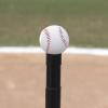 Champion Sports Deluxe Batting Tee – Mounted on Official Home Plate, Adjustable Telescopic Molded Rubber Tee, Multiple Style Options – Singles & Sets Available(Deluxe Batting Tee)