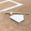 Champion Sports Home Plate – Rubber Baseball & Softball Base, Official Size, Durable, Indoor/Outdoor, Training & Game Read(Pro Anchor Home Plate)