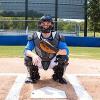 Champion Sports Pro Baseball Adult Mask – Umpires and Catchers – Extra Protection – Extended Guards – Adjustable Harness Baseball Mask – Adult Size,Black(Youth (Heavy Duty))