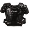 Champion Body Armor(17″)