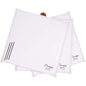 Champion Sports Foam Filled Nylon Cover Baseball Base Set(14 Inch by 14 Inch by 1 Inch)