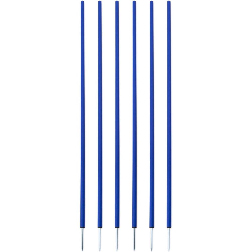 image:imageChampion Sports Coaching SticksBlue