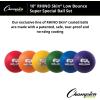 Champion Sports 10 Inch Rhino Skin Super Special Foam Ball Set of 6, Assorted(10″ Set of 6)