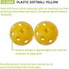 Champion Sports 12″ Hollow Plastic Softball Set – Practice Softballs – Regulation Size Balls – Fun for All Ages – Lightweight/Durable – Multiple Pack Sizes and Colors(Pack of 6 Hollow Plastic Softballs (Yellow))