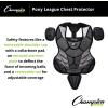 Champion Sports 15″ Lightweight Multi-layered Pony League Chest Protector – Removable Shoulder Cap and Tail – Chest Protector – Ages: 12-16