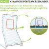 Champion Sports Arch RebounderPitchback Screen – Heavy-Duty Construction, Adjustable Angles, Pitchback Net with Strike Zone, 42″ W x 72″ H(Arc Rebounder)