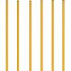 Champion Sports Coaching Sticks(Yellow)