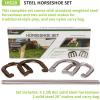 Champion Sports Horseshoe Set: Traditional Outdoor Lawn Game includes Four Professional Solid Steel Horseshoes with Solid Steel Stakes & Carrying Storage Case(Classic Set)