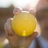 Champion Sports Lacrosse Balls – Official Size & Weight, NCAA & NFHS Approved, SEI Certified – Pro, College & Youth Game & Practice Use – Multi-Color, Packs of 3, 6 & 12(Yellow)