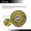 Champion Sports Premium Rhino Skin Extreme Color Dodgeballs – Glow in the Dark, Color-Changing, and Spider Grip – Low Bounce Dodgeballs