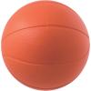 Champion Sports Rhino Skin Basketball
