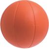 Champion Sports Rhino Skin Basketball
