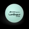 Champion Sports Rhino Skin Luminous Dodgeball Set(Luminous (Glow-in-dark))