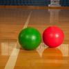 Champion Sports Rhino Skin Medium Bounce Dodgeballs(7″ Set of 6 – Assorted)
