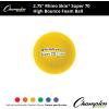 Champion Sports Rhino Skin Super High Bounce Playground Balls(Assorted Colors)