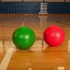 Champion Sports Rhino Skin Ultramax Dodgeballs(8.5″ Single – Blue)