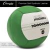 Champion Sports Rhino Slam Ball, 4-30 lb. Non-Slip Grip, Weightlifting, Crossfit, Home Gym, Fitness, 14″ Diameter Balls, Optional Storage Rack/Tree Sold Separately(Rhino Promax Slam Ball (10 lbs))