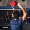 Champion Sports® Rubber Volleyballs – Official Size, Durable for Indoor & Outdoor Use, Premium Equipment for Beginners and Competitive Play, White & Assorted & Colors Available(Assorted Colors (6 Ball Set))