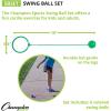 Champion Sports Skip Ball Ankle Toy for Kids, Pack of 6, Assorted Colors – Durable Hopper/Swingball Set with 18-Inch Cord, 5.5-Inch Diameter Ankle Ring – Fun Jumper and Exercise Equipment(18″ Long  5.5″ Dia. Ankle Ring)