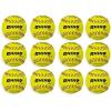 Champion Sports® Softballs – Leather & Synthetic Softballs for Practice or Game Play, Multiple Sizes, Cores & Styles, NFHS Approved & Training Sets Available(Leather Poly Core (Pack of 12))