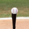 Champion Sports Steel and Aluminum Stem with Rubber Cone Pro Baseball Tee Adjustable Practice Tee with High Density Base