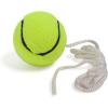 Champion Sports TTGAME Tetherball Tennis: Swingball Outdoor Lawn Game for Kids, Adults, and Families – Backyard Tether Kit with Tennis Ball and Paddle Set(Tennis Tetherball and Paddle Set)