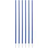 Champion Sports Coaching Sticks(Blue)