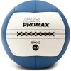 Champion Sports Rhino Slam Ball, 4-30 lb. Non-Slip Grip, Weightlifting, Crossfit, Home Gym, Fitness, 14″ Diameter Balls, Optional Storage Rack/Tree Sold Separately(12 LBS)