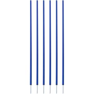 Champion Sports Coaching Sticks(Blue)