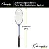 Champion Sports 24″ Twin Shaft Badminton Racket with Nylon Coated Steel Strings (Single Racket) – Silver/Blue – for Beginners