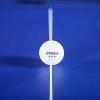 Champion Sports 3 Star Table Tennis Ball Pack, Tournament Grade Equipment, 38 Balls, White Ping Pong Balls, 40mm Seamless Design, CTTA and ITTA Approved(Box of 38 (White))