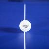 Champion Sports 3 Star Table Tennis Ball Pack, Tournament Grade, White, 40mm Seamless Design, 6 Balls