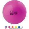 Champion Sports Field Hockey Balls, Regulation Size, 12-Pk, 2.75” Each – NFHS-Approved Sports Hockey Ball Set for Fields, Grass, Turf – High Visibility in Multiple Colors(Pink (Pack of 12))