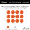 Champion Sports Field Hockey Practice Balls – 12 Pack in Multiple Colors(Orange)