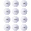 Champion Sports Field Hockey Practice Balls – 12 Pack in Multiple Colors(White)
