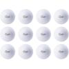 Champion Sports Field Hockey Practice Balls – 12 Pack in Multiple Colors(White)
