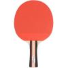 Champion Sports PN6 Table Tennis Paddle, Black, 5-1/2 x 10 x 1/2″