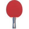 Champion Sports PN9 Table Tennis Paddle
