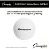 Champion Sports Rhino Skin Molded Foam Balls