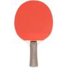 Champion Sports(Assorted Colors)
