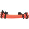 Champion Sports(Bright Red)