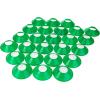Champion Sports(Neon Green)