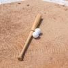 Champion Sports Pitching Machine Baseball(White)
