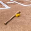 Champion Sports Pitching Machine Baseball(Yellow)