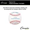 Champion Sports Syntex Leather Cover Indoor/Outdoor Tee Balls – Safety Sponge Core – Pack of 12