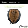 Champion Sports Catchers Glove(Multi Brown/Black)