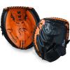 Champion Sports Catchers Glove(Multi Brown/Black)